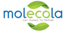 Косметика бренда MOLECOLA, логотип