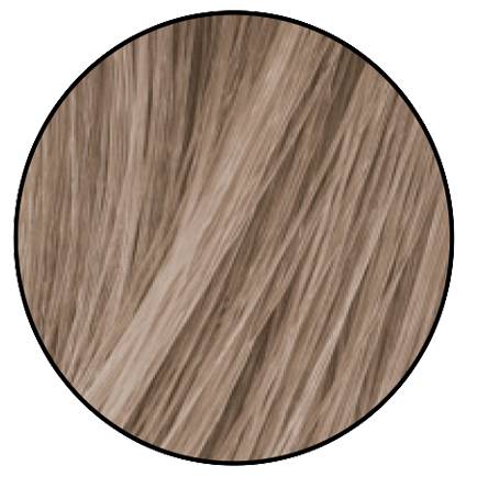 510NA очень-очень светлый блондин натуральный пепельный 100% покрытие седины - 510.01