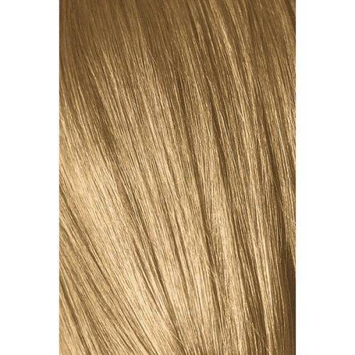 картинка 9-50 Крем-краска Igora Royal Absolutes, блондин золотистый натуральный, 60 мл