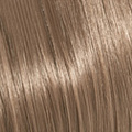 8.21 8BA Light.Blonde.Beige.Ash