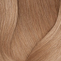 9N Очень светлый блондин натуральный