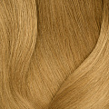 10G очень-очень светлый блондин золотистый - 10.03