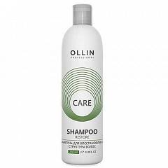 Шампунь для восстановления структуры волос Restore Shampoo, 250 мл