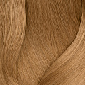 9G очень светлый блондин золотистый - 9.03