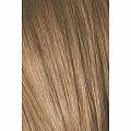 8-65 Светлый русый шоколадный золотистый