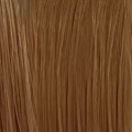 9.3 / 9G VERY.LIGHT.BLONDE.GOLD Очень.Светлый.Блонд.Золотой