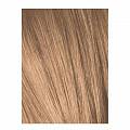 9-55 Блондин золотистый экстра