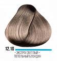 12.10 экстра светлый пепельный блондин