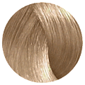 9.3 Очень светлый блондин золотистый