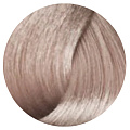 10/21 Extra Light Pearl Ash Blonde