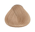 9.3 Очень светлый блондин золотистый